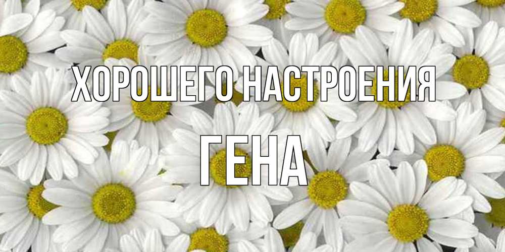 Открытка на каждый день с именем, Гена Хорошего настроения поляна ромашек Прикольная открытка с пожеланием онлайн скачать бесплатно 