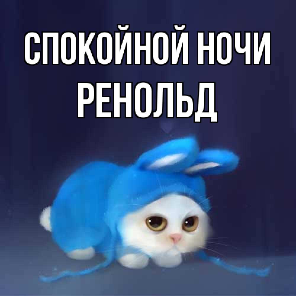 Открытка на каждый день с именем, Ренольд Спокойной ночи кот в голубом костюме кролика с ушками Прикольная открытка с пожеланием онлайн скачать бесплатно 