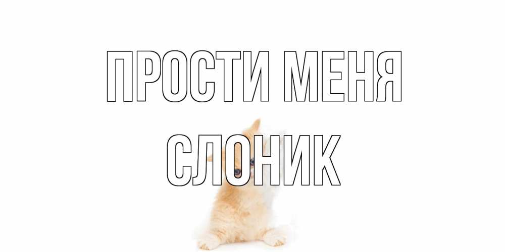 Открытка на каждый день с именем, Слоник Прости меня кот Прикольная открытка с пожеланием онлайн скачать бесплатно 