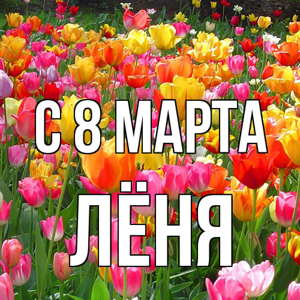 Открытка на каждый день с именем, Лёня C 8 МАРТА на международный женский день Прикольная открытка с пожеланием онлайн скачать бесплатно 