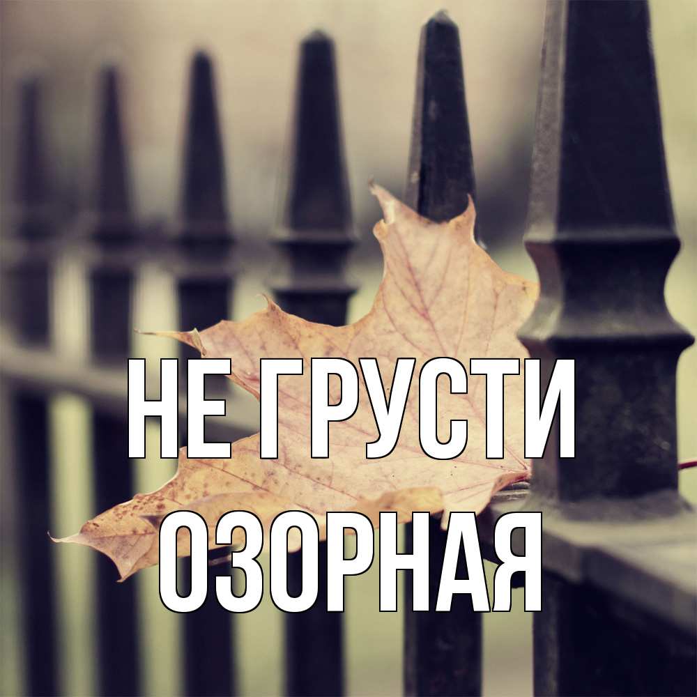 Открытка на каждый день с именем, Озоpная Не грусти лист клена Прикольная открытка с пожеланием онлайн скачать бесплатно 