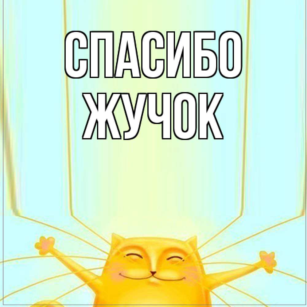 Открытка на каждый день с именем, жучок Спасибо кот с усами благодарит Прикольная открытка с пожеланием онлайн скачать бесплатно 