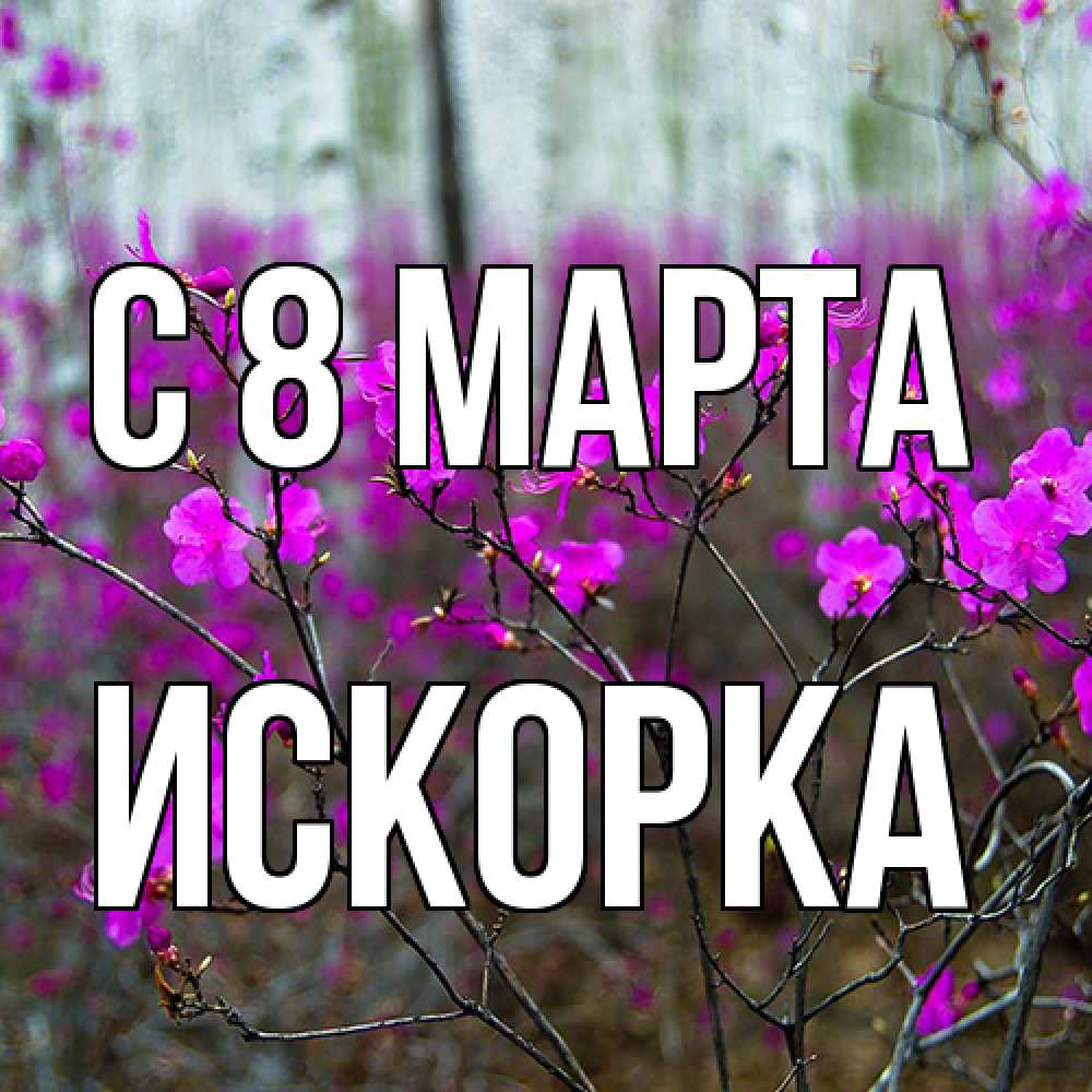 Открытка на каждый день с именем, искорка C 8 МАРТА дикие цветы Прикольная открытка с пожеланием онлайн скачать бесплатно 