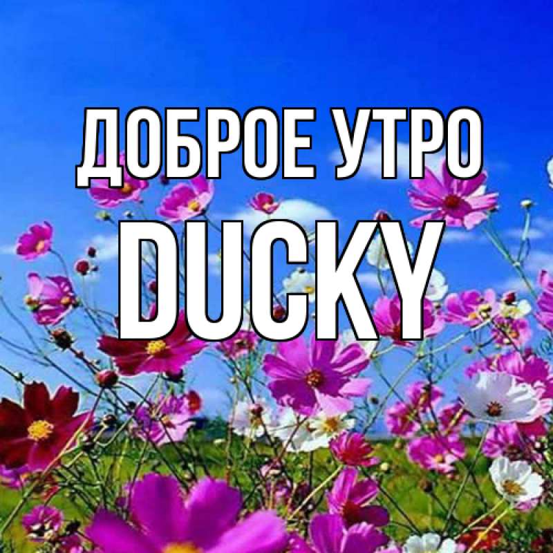 Картинка Доброе утро, Ducky