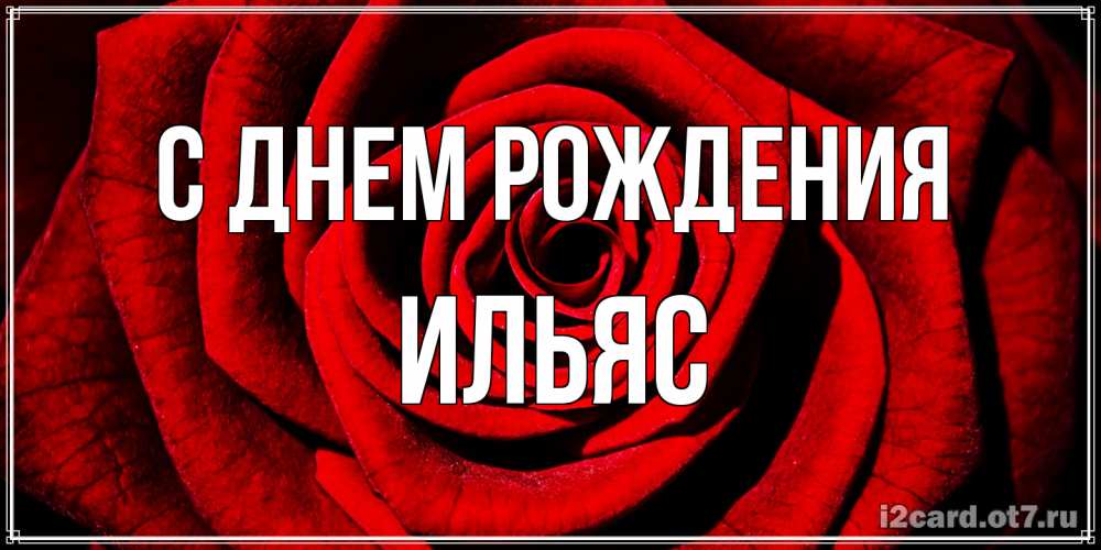 Открытка на каждый день с именем, Ильяс С днем рождения алая роза Прикольная открытка с пожеланием онлайн скачать бесплатно 
