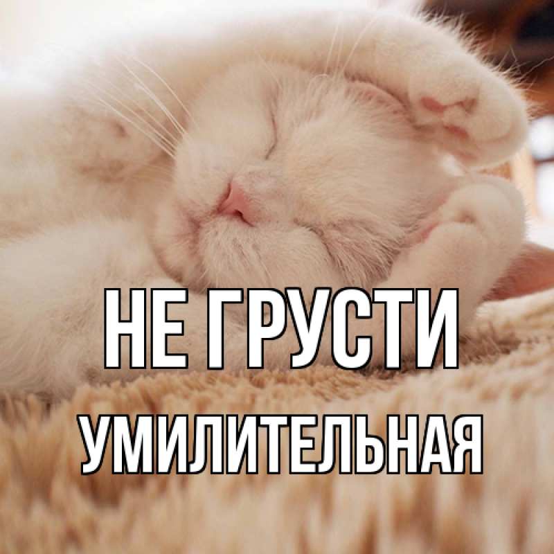 Картинка Не грусти, умилительная