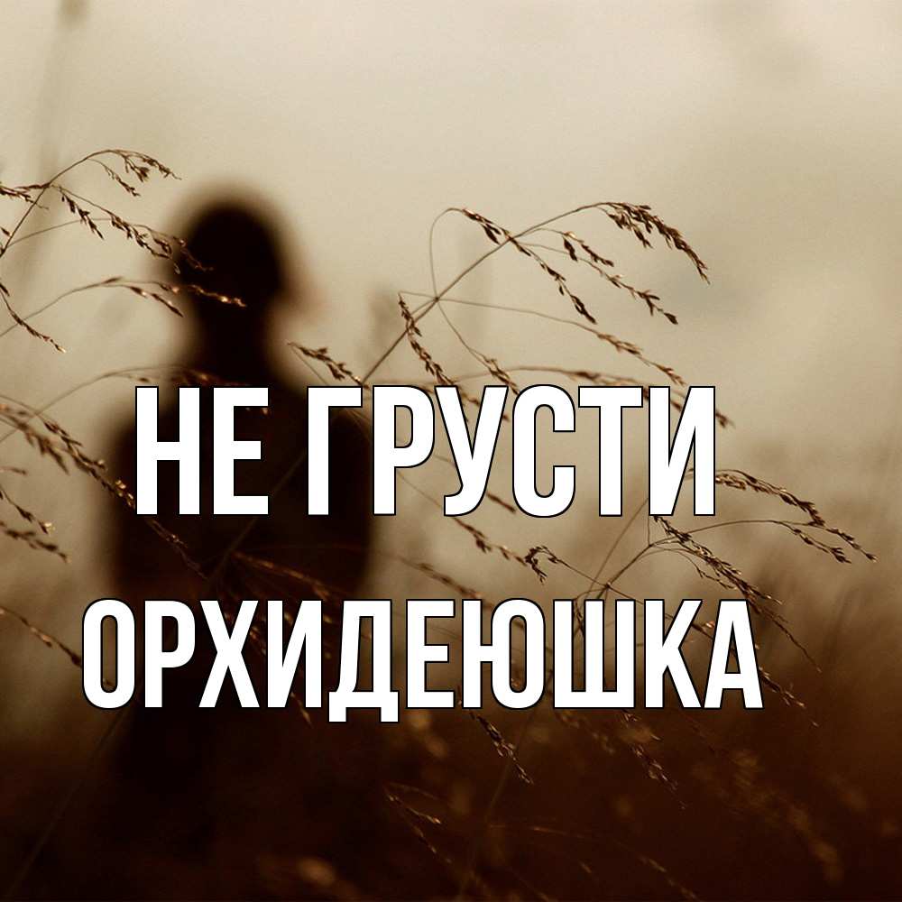 Открытка на каждый день с именем, Орхидеюшка Не грусти грусть Прикольная открытка с пожеланием онлайн скачать бесплатно 