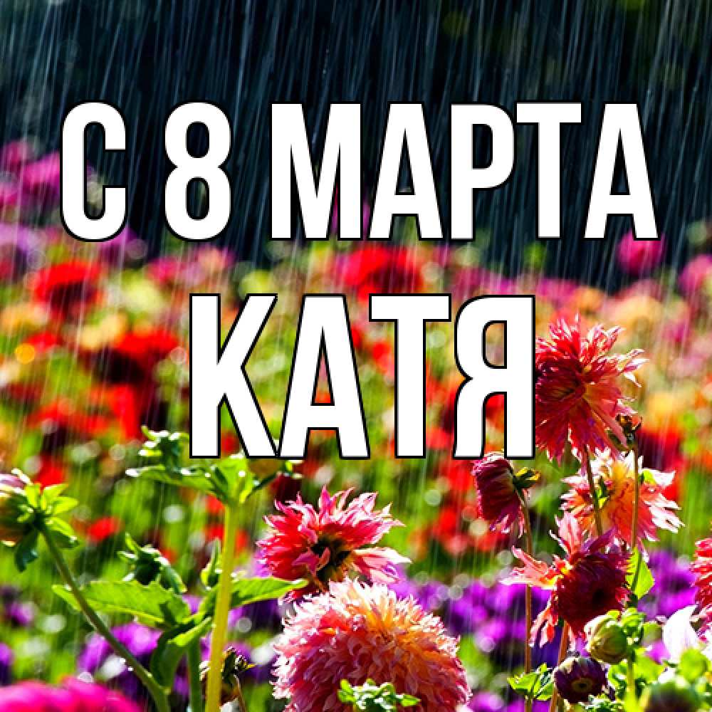 Открытка на каждый день с именем, Катя C 8 МАРТА цветы под дождиком к международному женскому дню Прикольная открытка с пожеланием онлайн скачать бесплатно 