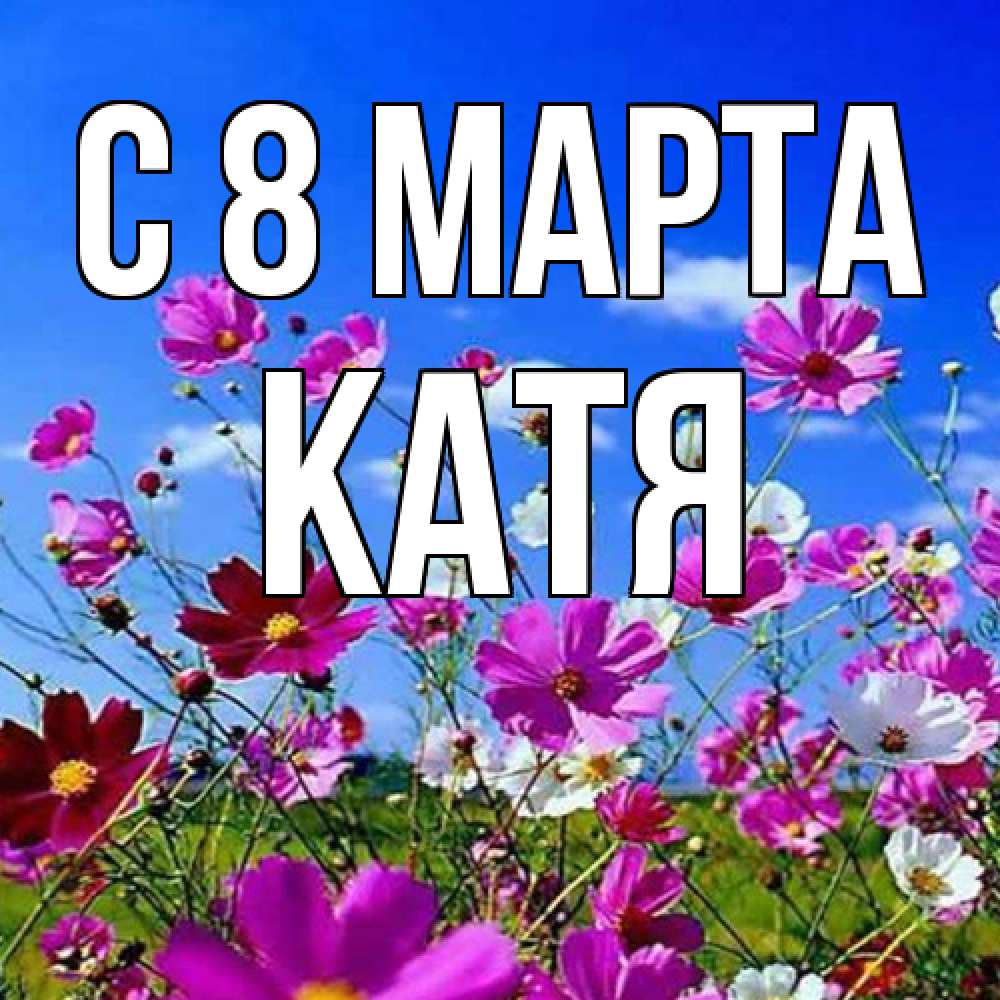 Открытка на каждый день с именем, Катя C 8 МАРТА цветы Прикольная открытка с пожеланием онлайн скачать бесплатно 