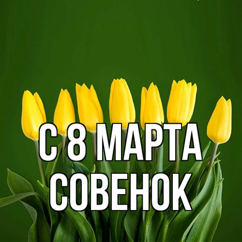 Картинка C 8 МАРТА, совенок