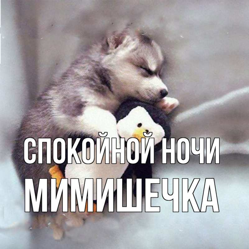 Картинка Спокойной ночи, мимишечка