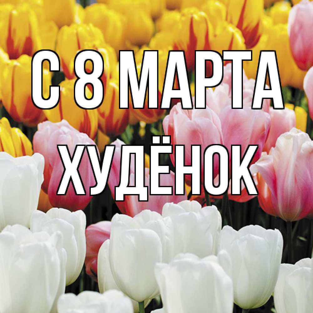Открытка на каждый день с именем, худёнок C 8 МАРТА разноцветные цветы Прикольная открытка с пожеланием онлайн скачать бесплатно 