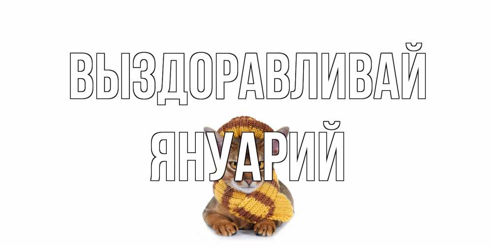 Открытка на каждый день с именем, Януарий Выздоравливай родные не болейте Прикольная открытка с пожеланием онлайн скачать бесплатно 
