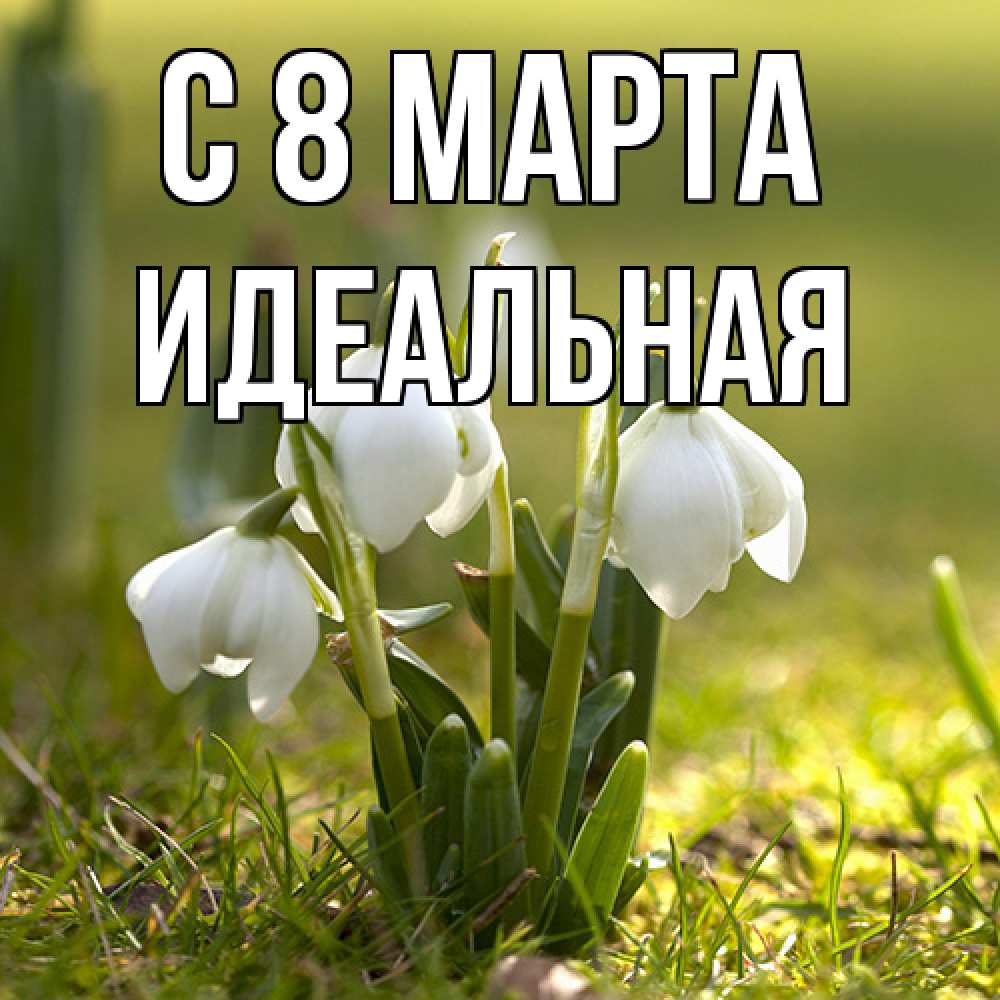 Открытка на каждый день с именем, идеальная C 8 МАРТА ранние цветы 2 Прикольная открытка с пожеланием онлайн скачать бесплатно 