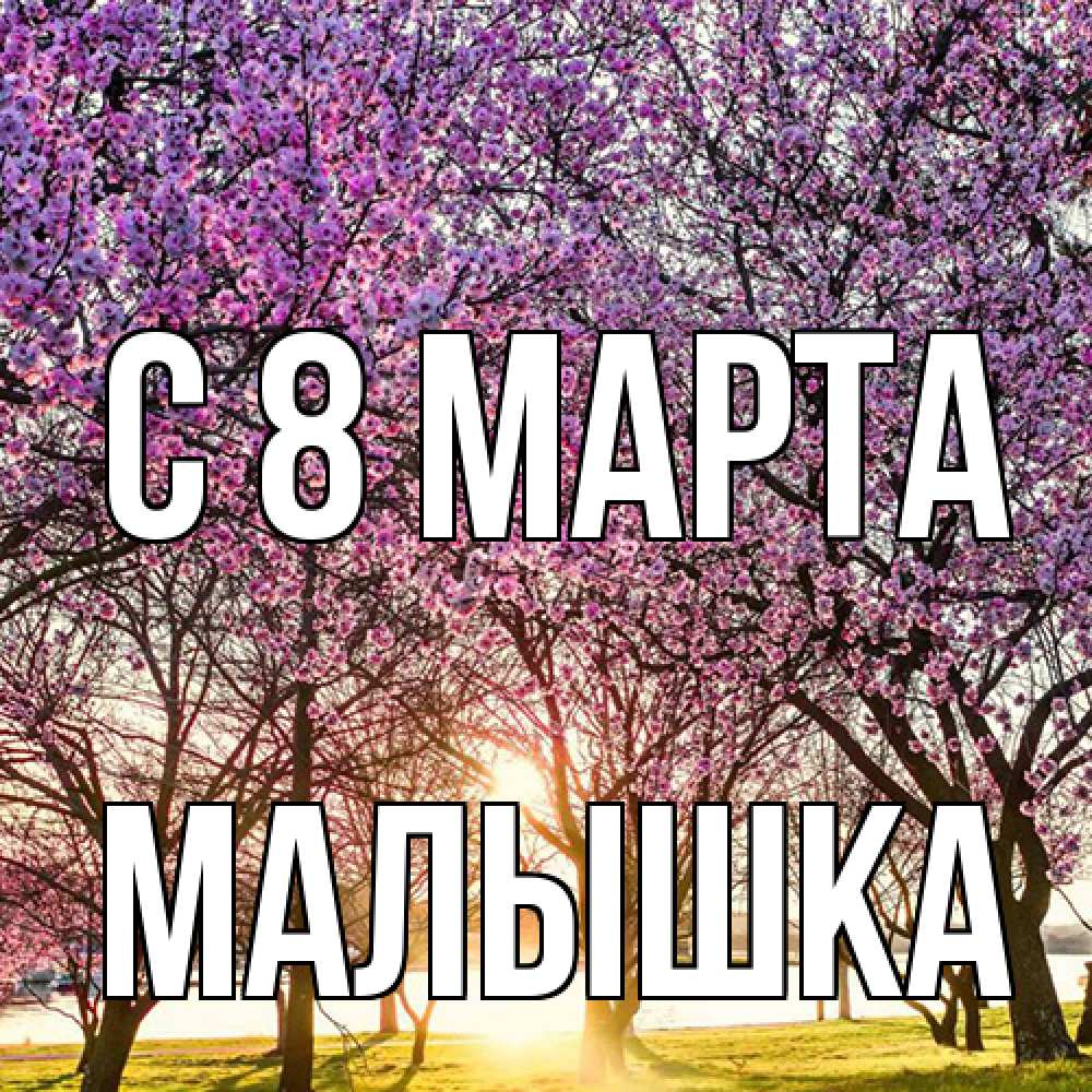 Открытка на каждый день с именем, малышка C 8 МАРТА международный женский день Прикольная открытка с пожеланием онлайн скачать бесплатно 