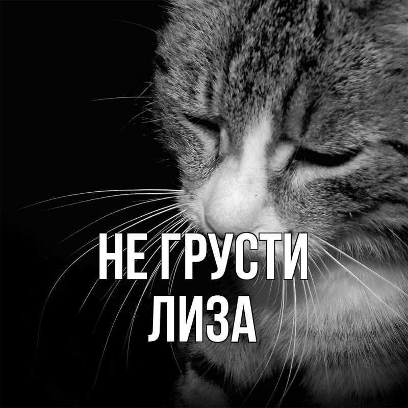 Картинка Не грусти, Лиза