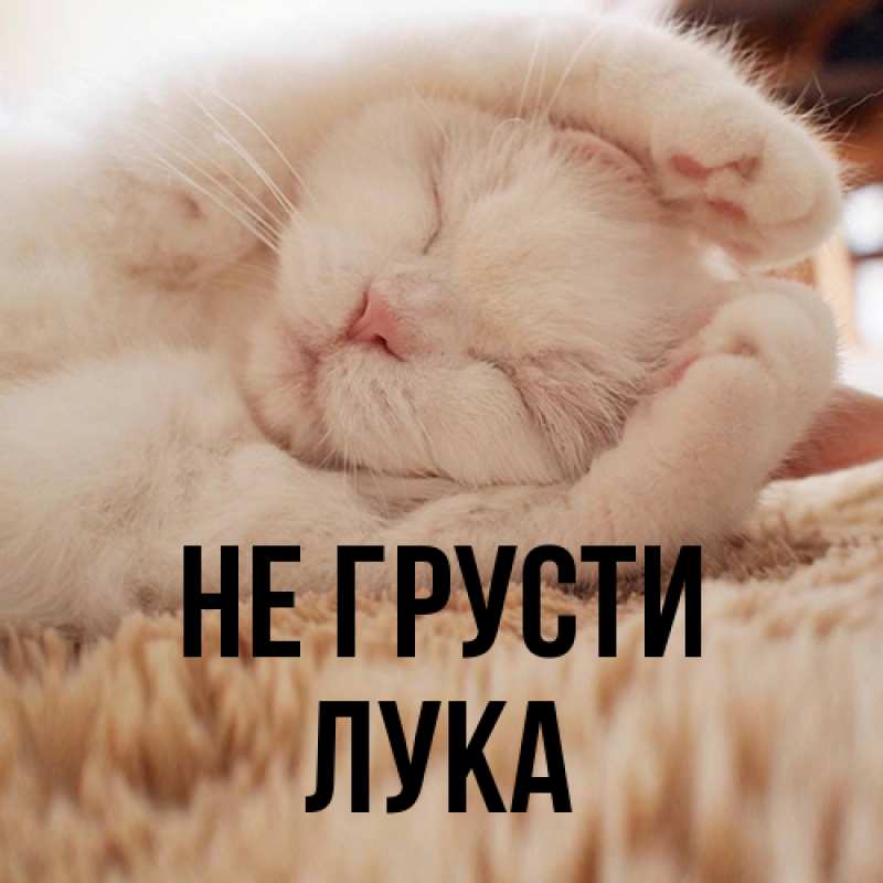 Картинка Не грусти, Лука