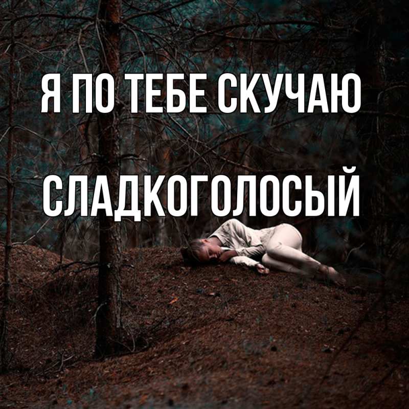 Картинка Я по тебе скучаю, Сладкоголосый