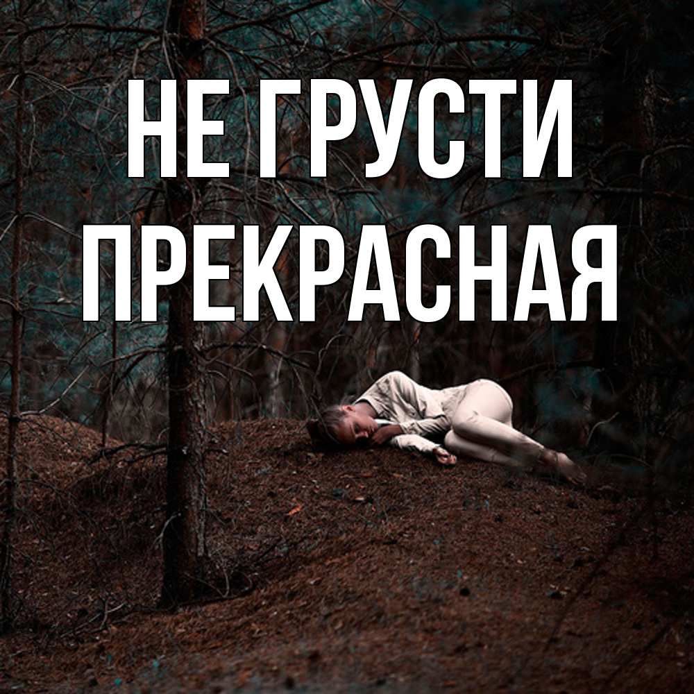 Открытка на каждый день с именем, Пpекpасная Не грусти лес Прикольная открытка с пожеланием онлайн скачать бесплатно 