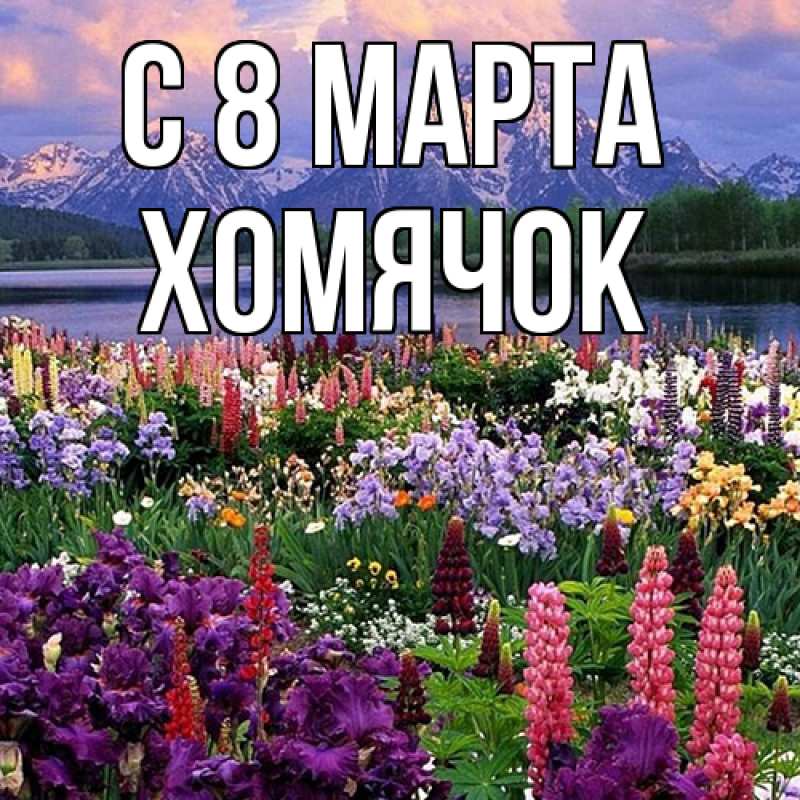 Картинка C 8 МАРТА, Хомячок