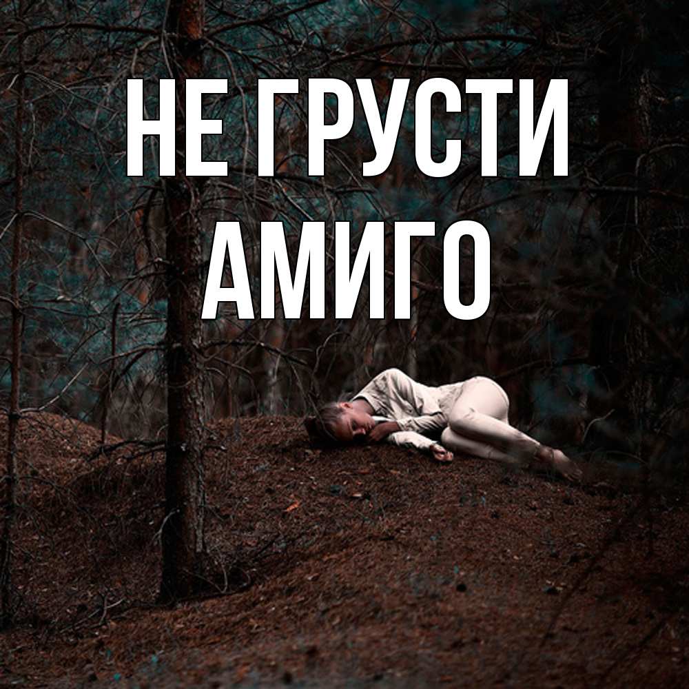 Открытка на каждый день с именем, Амиго Не грусти лес Прикольная открытка с пожеланием онлайн скачать бесплатно 