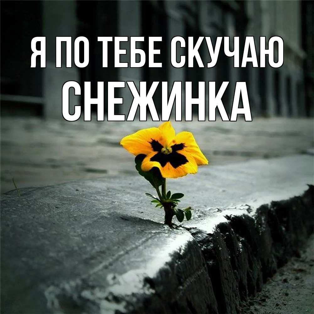 Открытка на каждый день с именем, Снежинка Я по тебе скучаю надеюсь будет лучше Прикольная открытка с пожеланием онлайн скачать бесплатно 