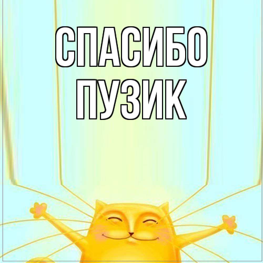 Открытка на каждый день с именем, Пузик Спасибо кот с усами благодарит Прикольная открытка с пожеланием онлайн скачать бесплатно 
