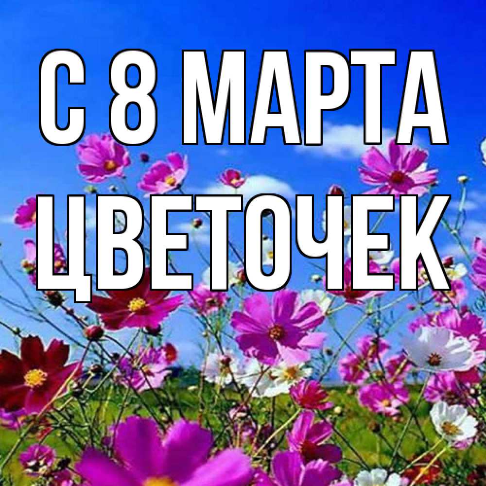 Открытка на каждый день с именем, Цветочек C 8 МАРТА цветы Прикольная открытка с пожеланием онлайн скачать бесплатно 