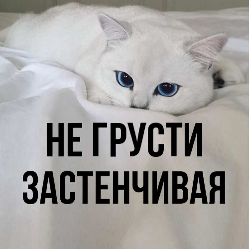 Картинка Не грусти, Застенчивая