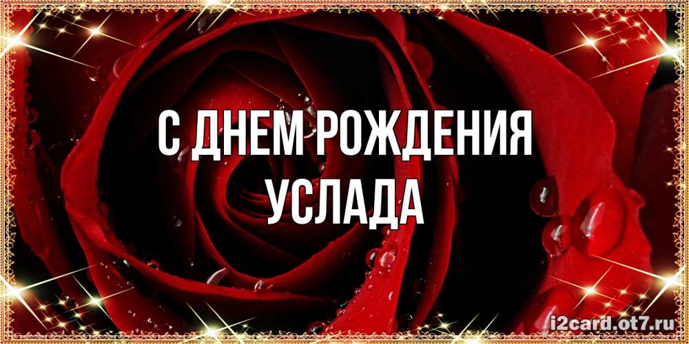 Открытка на каждый день с именем, услада С днем рождения цветок в росе на день рождения Прикольная открытка с пожеланием онлайн скачать бесплатно 