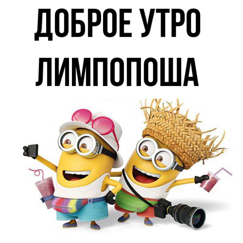 Картинка Доброе утро, лимпопоша
