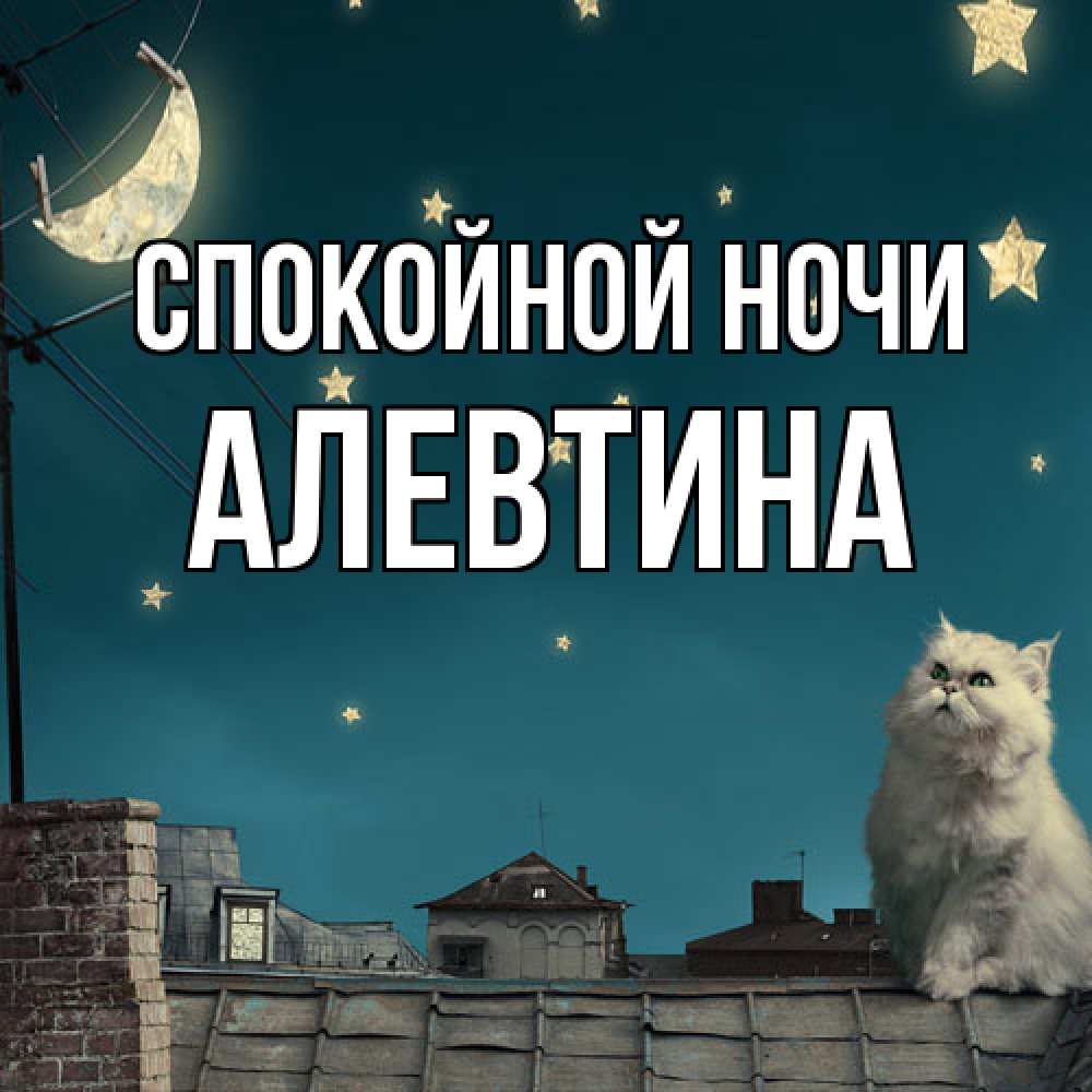 Открытка на каждый день с именем, Алевтина Спокойной ночи белый кот сидит на крыше Прикольная открытка с пожеланием онлайн скачать бесплатно 