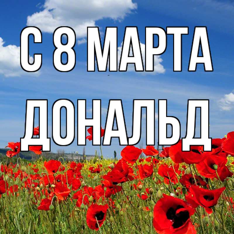 Картинка C 8 МАРТА, Дональд