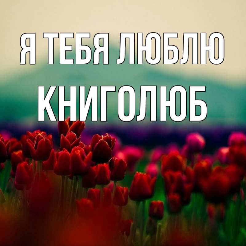 Картинка Я тебя люблю, Книголюб