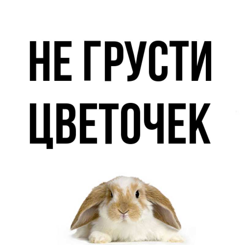 Картинка Не грусти, Цветочек