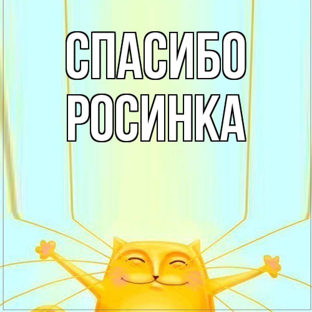 Открытка на каждый день с именем, Росинка Спасибо кот с усами благодарит Прикольная открытка с пожеланием онлайн скачать бесплатно 