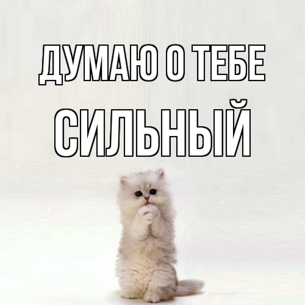 Открытка на каждый день с именем, Сильный Думаю о тебе кот стоит на задних лапах Прикольная открытка с пожеланием онлайн скачать бесплатно 