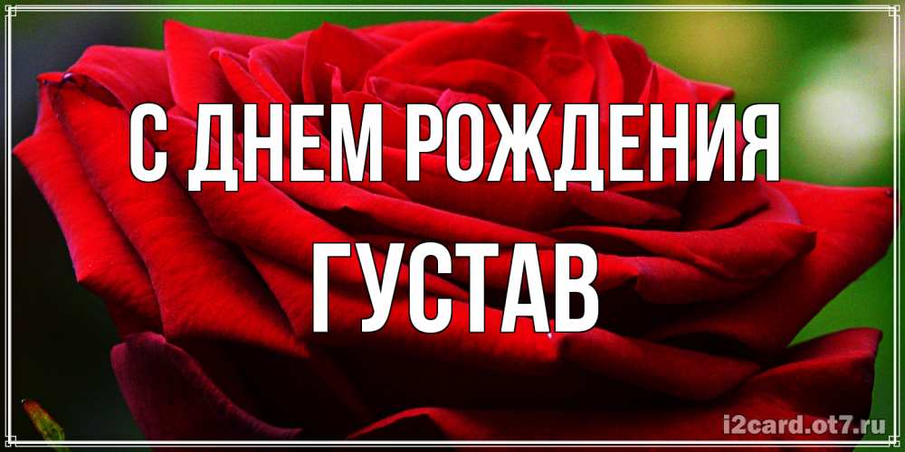 Открытка на каждый день с именем, Густав С днем рождения розочка очень красивая Прикольная открытка с пожеланием онлайн скачать бесплатно 