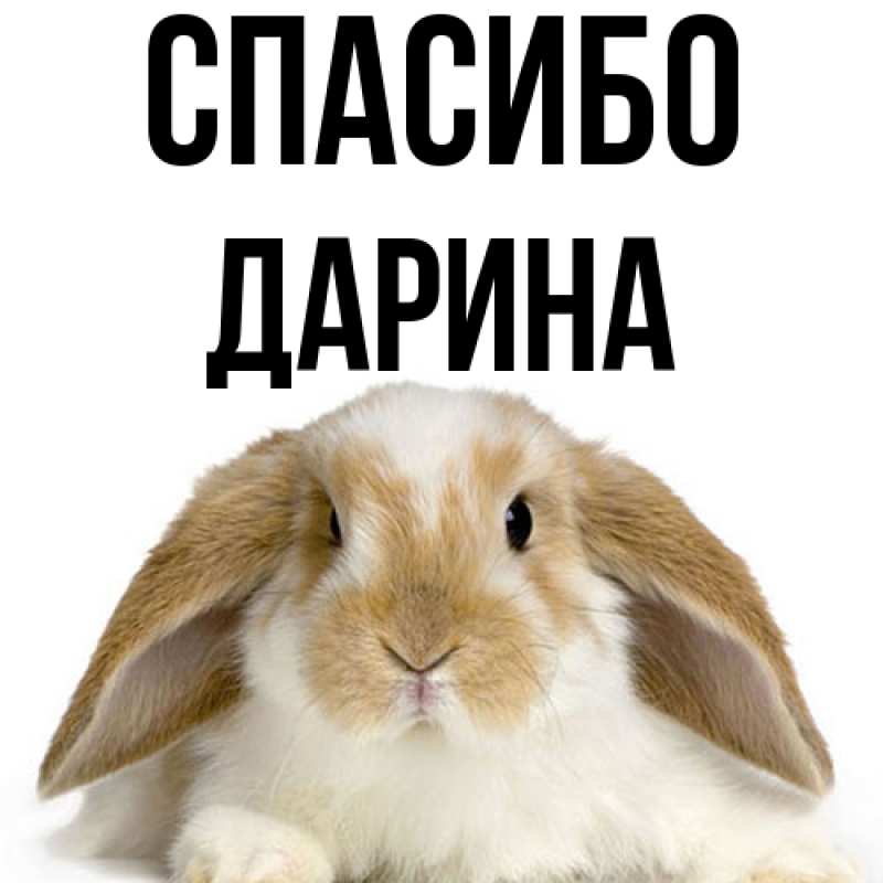 Картинка Спасибо, Дарина