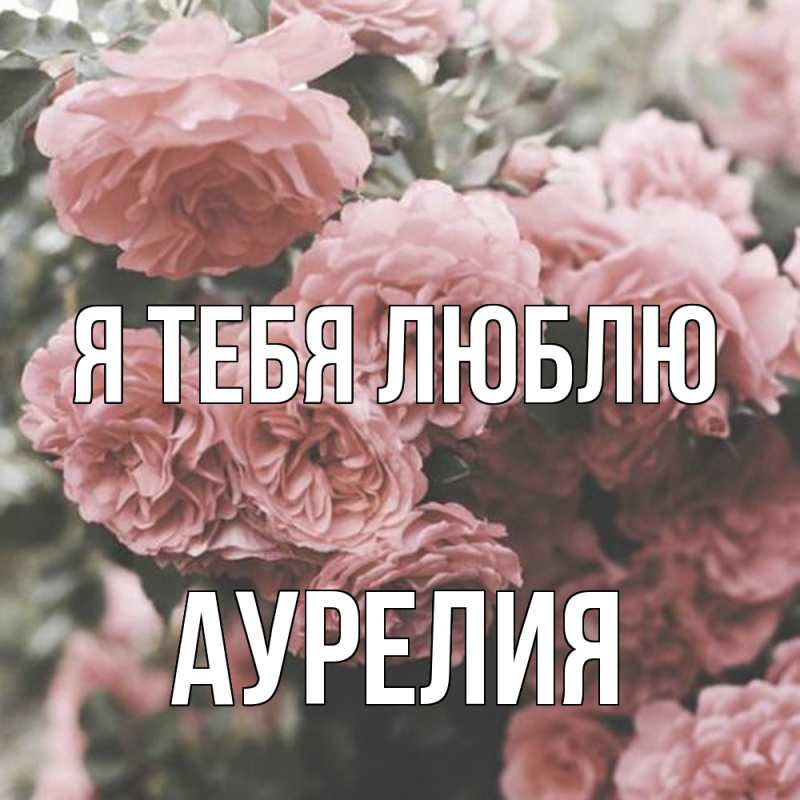 Картинка Я тебя люблю, Аурелия
