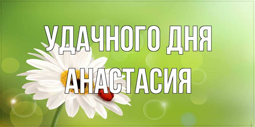 Открытка на каждый день с именем, Анастасия Удачного дня зеленый фон и ромашка Прикольная открытка с пожеланием онлайн скачать бесплатно 