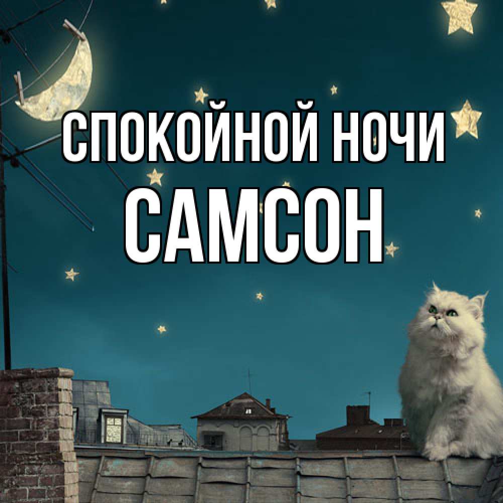 Открытка на каждый день с именем, Самсон Спокойной ночи белый кот сидит на крыше Прикольная открытка с пожеланием онлайн скачать бесплатно 