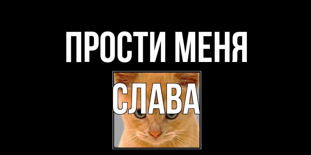 Открытка на каждый день с именем, Слава Прости меня рыжий грустный кот просит прощения Прикольная открытка с пожеланием онлайн скачать бесплатно 