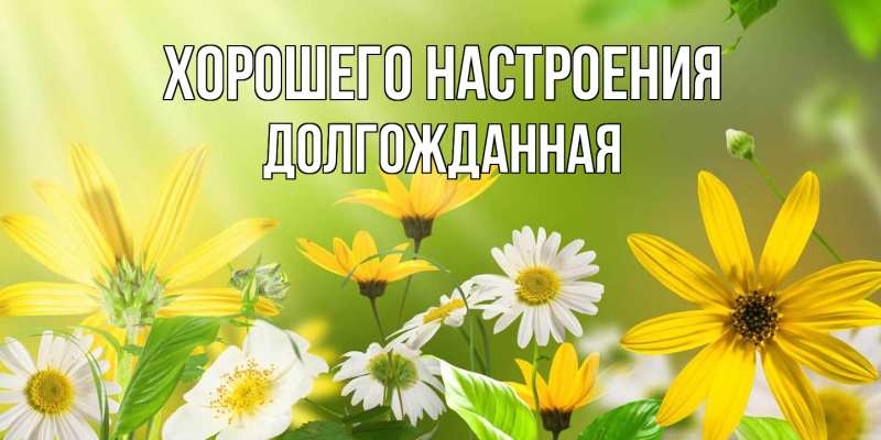 Картинка Хорошего настроения, Долгожданная