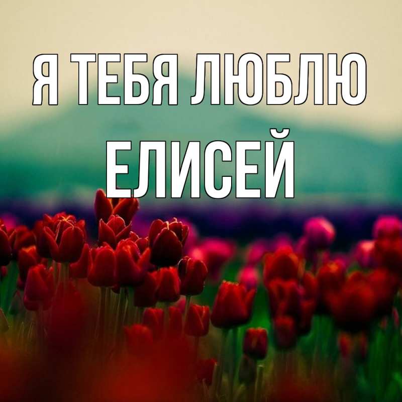 Картинка Я тебя люблю, Елисей