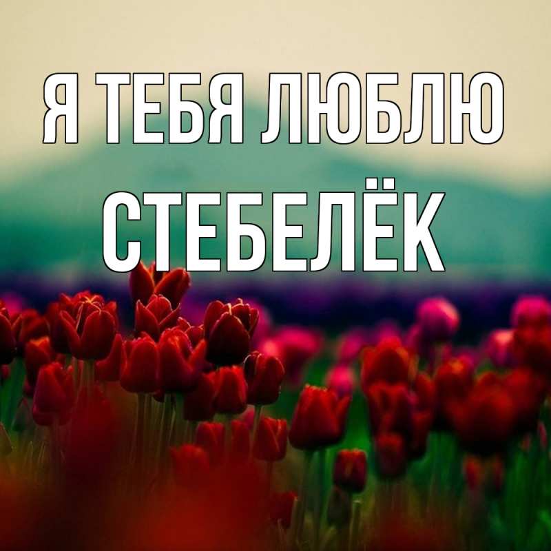 Картинка Я тебя люблю, Стебелёк