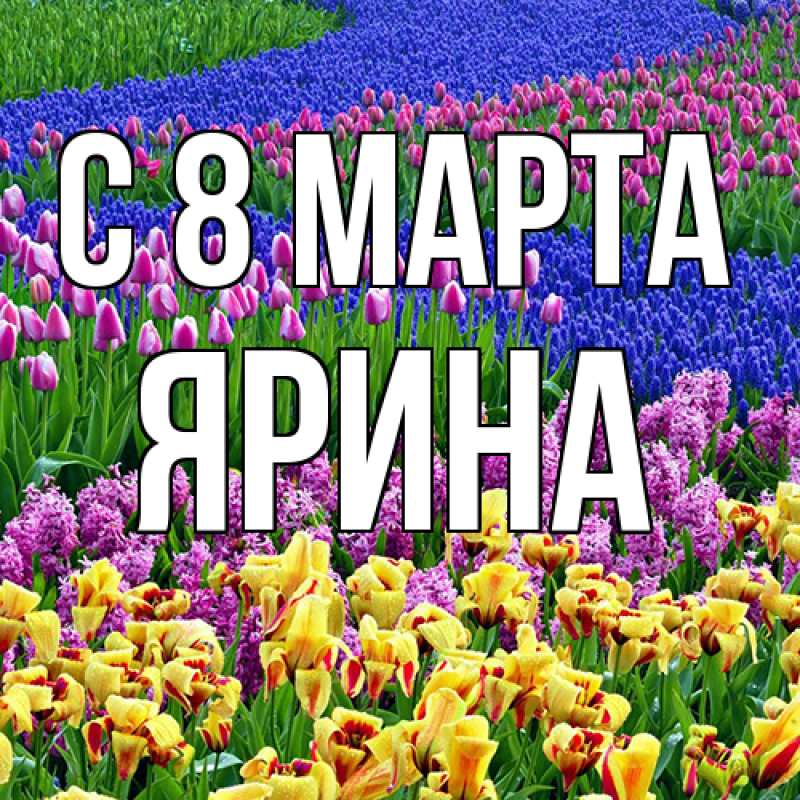 Картинка C 8 МАРТА, Ярина