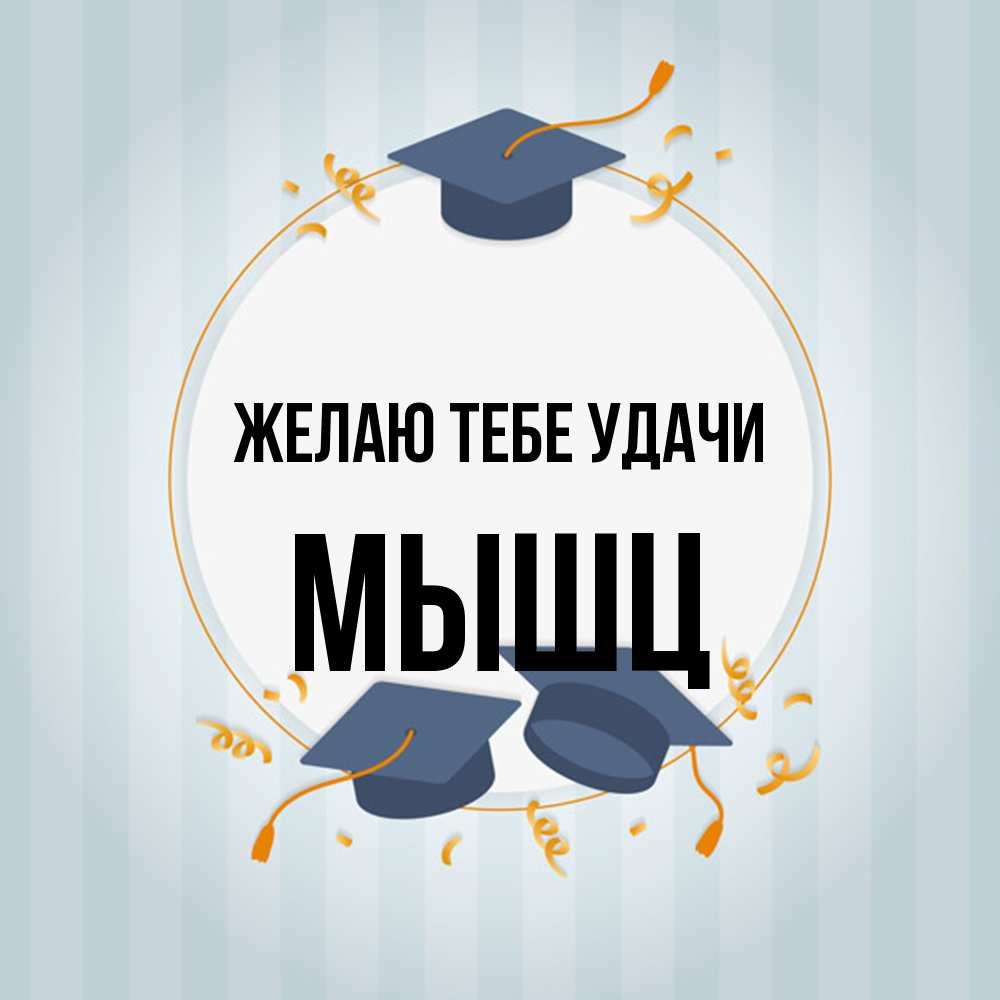 Открытка на каждый день с именем, Мышц Желаю тебе удачи для студентов Прикольная открытка с пожеланием онлайн скачать бесплатно 