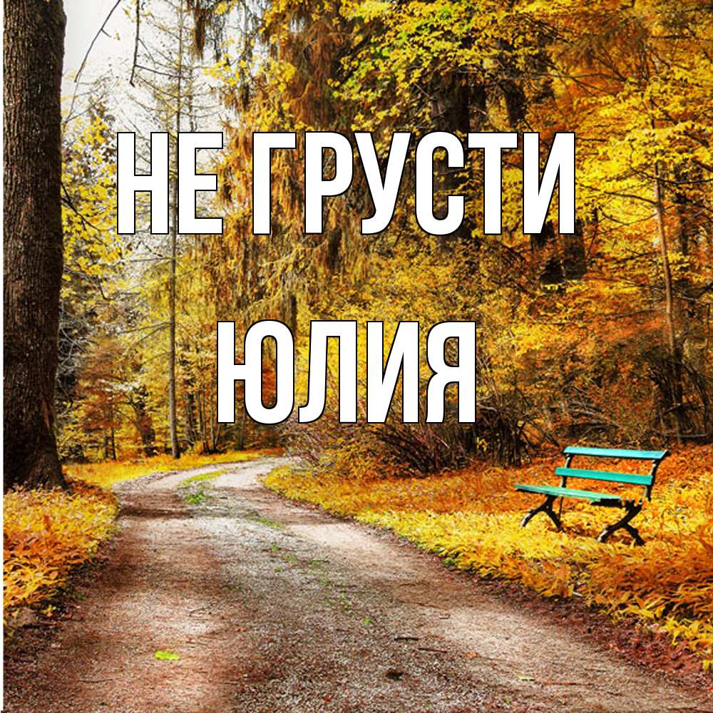 Открытка на каждый день с именем, Юлия Не грусти зеленая лавочка Прикольная открытка с пожеланием онлайн скачать бесплатно 
