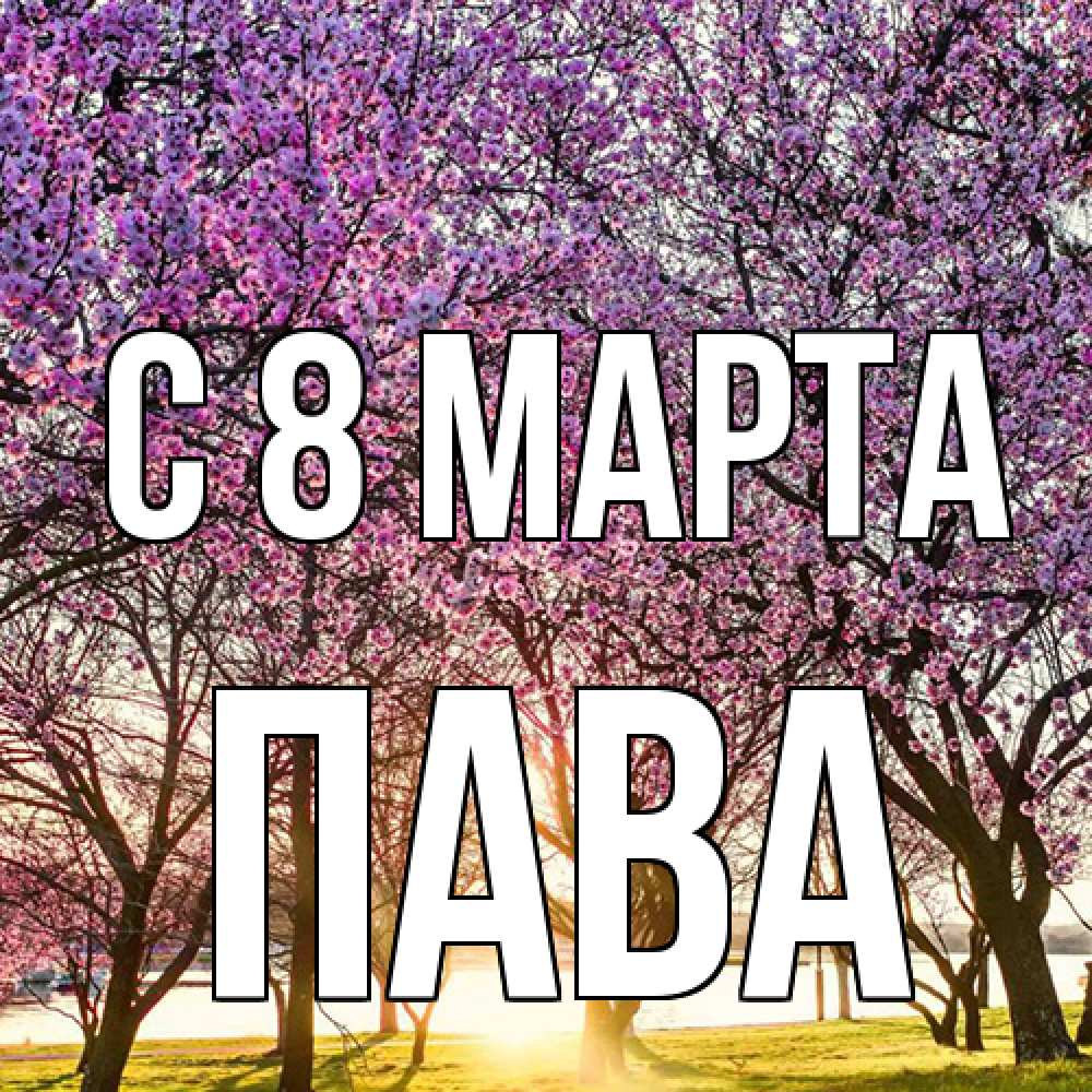 Открытка на каждый день с именем, пава C 8 МАРТА международный женский день Прикольная открытка с пожеланием онлайн скачать бесплатно 